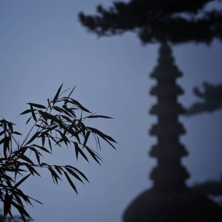 明神弥彦（身份：神谷道场弟子、少年剑客） - 少儿动画片免费在线观看 - 手机影视